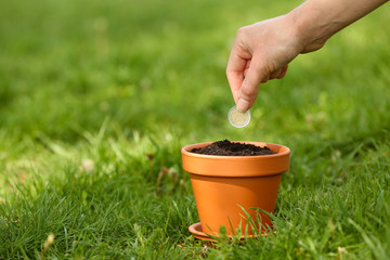 Wall Mural - Female hand planting coin into flowerpot over green grass background