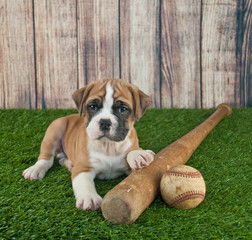 Wall Mural - Play Ball!