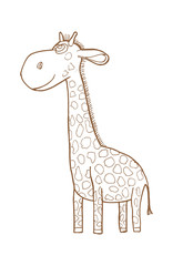  Beautiful adult Giraffe looking at us