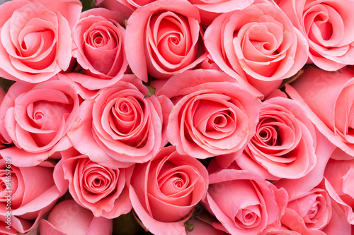 Naklejka - mata magnetyczna na lodówkę pink rose flower bouquet background