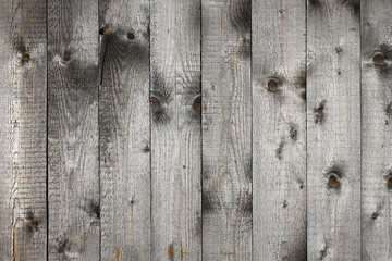 Wall Mural - old wood background