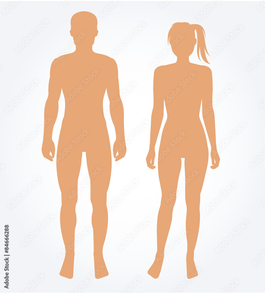 Man and woman body template. Vector illustration - obrazy, fototapety, plakaty 