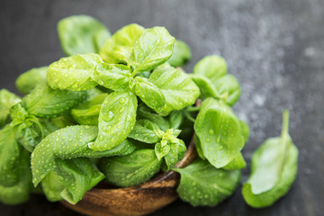 Wall Mural - Fresh Aromatic Basil Herb