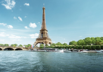 Poster - Seine in Paris with Eiffel tower in morning time