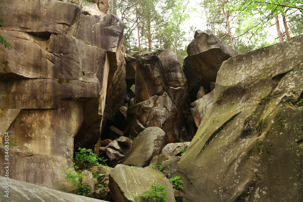 Rocks and trunks of trees in park