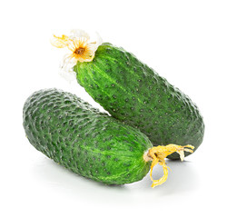 Wall Mural - cucumbers isolated on white background