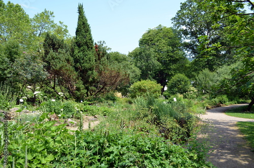 Botanischer Garten In Freiburg Buy This Stock Photo And Explore