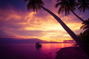 Wall Mural - Tropical island in the sunset with a boat