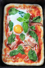 Poster - Pizza Alla Bismarck