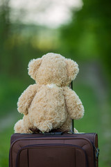 teddy bear sitting on a suitcase