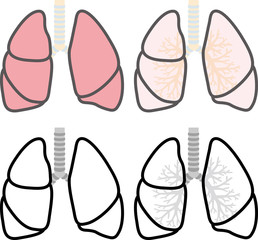  肺
