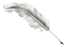 Classic Feather Quill Illustration