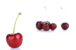 © Studio KIVI - Fresh sweet cherries isolated on a white background