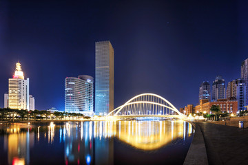 Wall Mural - Illumintaed modern skyscrapers and skyline at riverbank