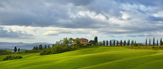 Wall Mural - Typical Tuscan landscape in Italy