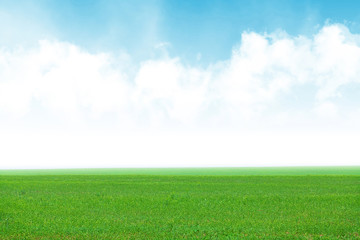 Green grass field and blue sky