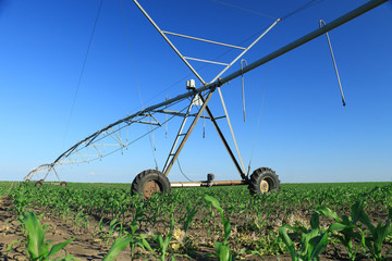 Canvas Print - Crop Irrigation using the center pivot sprinkler system