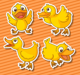 Sticker - ducklings