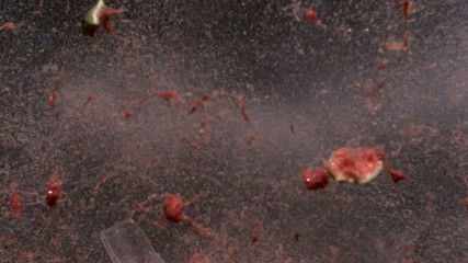 Watermelon gun shot