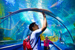 young man, tourist touching the glass under cramp-fish, while visiting marine underwater tunnel