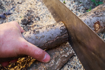 Sawing the log