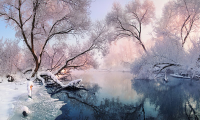 Christmas lace. A small river and frosted trees, lit by the morning sun