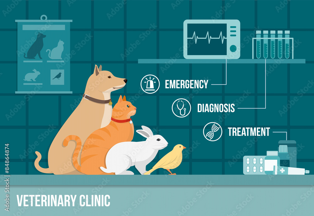 Fotografie Obraz Vet Clinic Banner Posters Cz