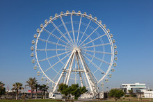 Ferris Wheel In Valencia