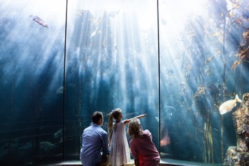 Wall Mural - Daughter pointing a fish while her mother and father looking at 