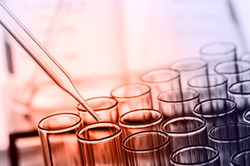 Wall Mural - laboratory test tubes