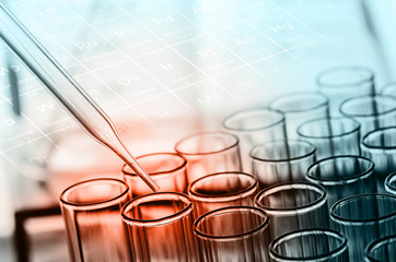 Wall Mural - laboratory test tubes