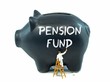 A piggy bank with pension fund painted on the side