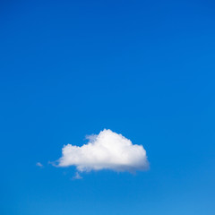Wall Mural - white little cloud in the summer blue sky