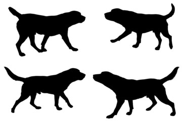 Sticker - Vector silhouette of a dog.