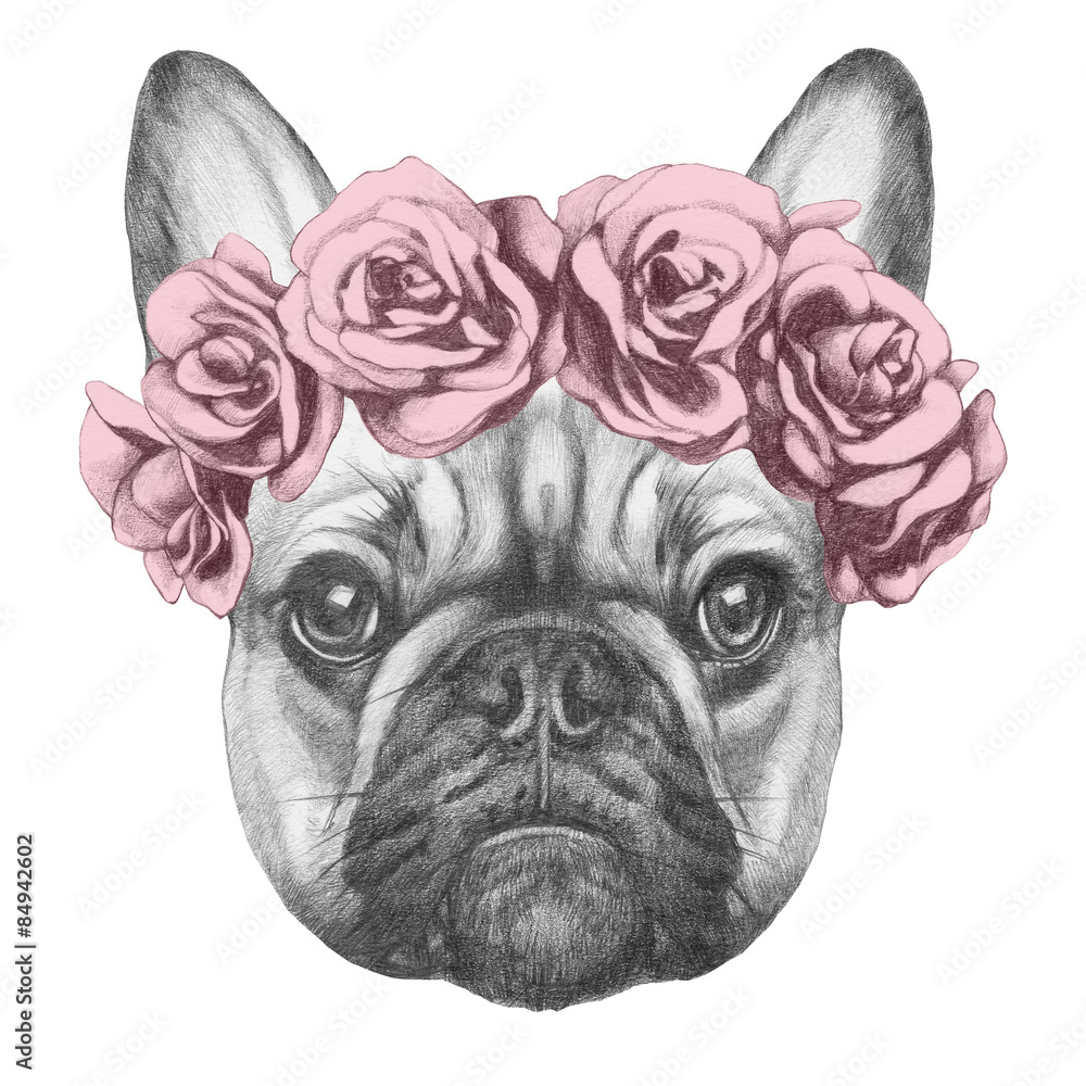 Fotografia Oryginalny Rysunek Buldoga Francuskiego Z Róż