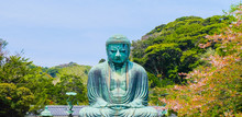 Image Of Great Buddha Bronze Statue In Kamakura, Kotokuin Temple