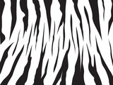 Fototapeta Fototapeta z zebrą - zebra patern background vector illustration design editable