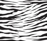 Fototapeta Zebra - zebra patern background vector illustration design editable