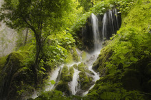 Waterfall And Dense Vegetation In Green Forest