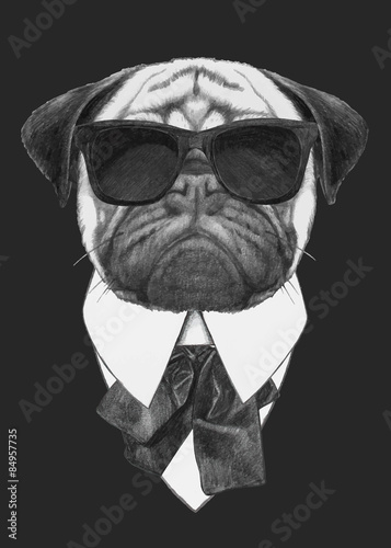 Obraz na płótnie canvas Ręcznie rysowane moda ilustracja mops pies z okulary. 