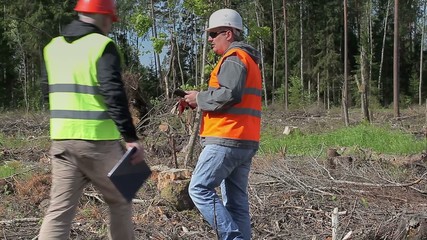 Sticker - Forest officers start checking check destroyed forest