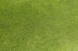 Green short grass of a golf green background