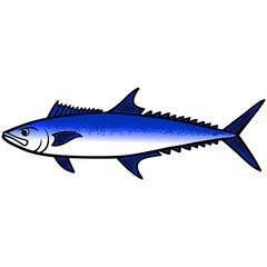 Wall Mural - King Mackerel Fish