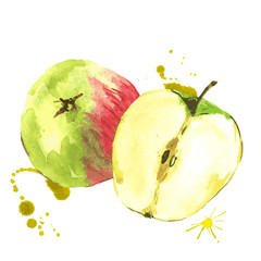 Watercolor apples, summer hand drawn fruit