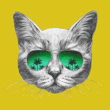 Hand Drawn Portrait Of Cat With Mirror Sunglasses. Vector Isolated Elements.