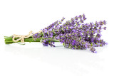 Fototapeta Lawenda - bunch of lavender flowers on a white background