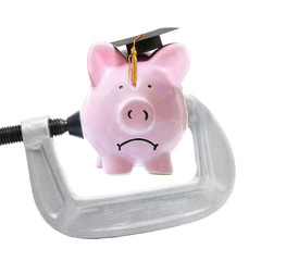 Wall Mural - student loan piggy bank vice