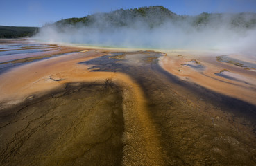 Wall Mural - Grand Prismatic Spring Bacterial Mats