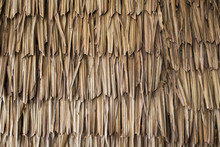 Dried Palm Texture