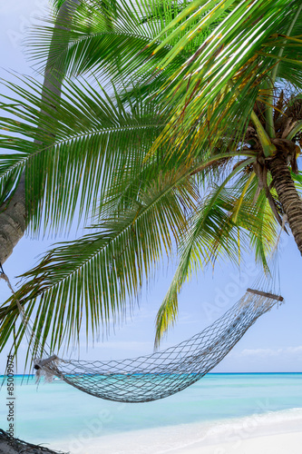 Fototapeta na wymiar Leere Hängematte zwischen Palmen an einem tropischen Strand